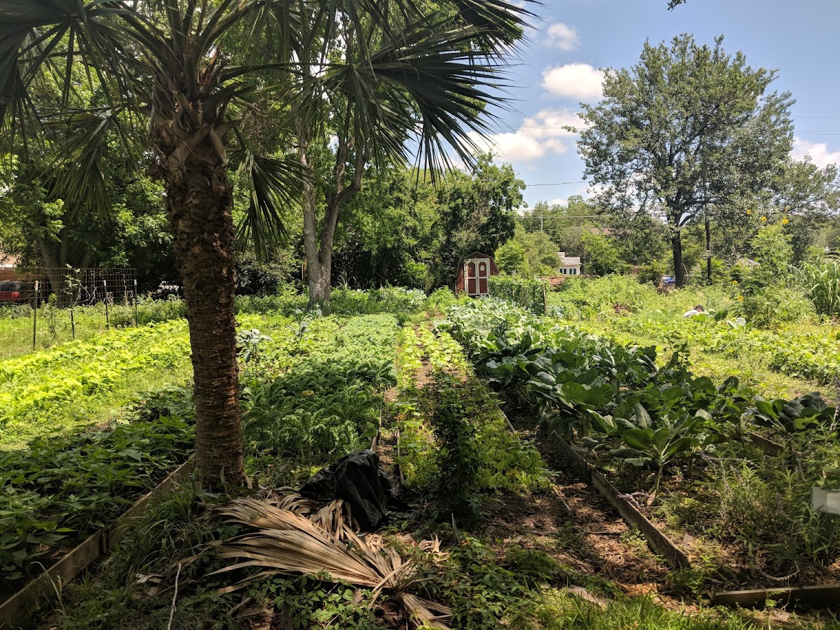 Plant It Forward Farms @ University of St Thomas