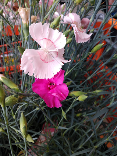 Home Improvement Store «The Home Depot», reviews and photos, 9971 Mountain View Dr, West Mifflin, PA 15122, USA