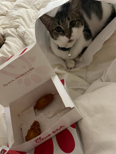 Fast Food Restaurant «Chick-fil-A», reviews and photos, 21622 Texas 249 Access Rd, Houston, TX 77070, USA