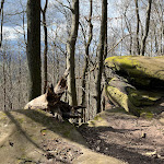 Photo n°18 de l'avis de Marcus.o fait le 21/03/2023 à 04:12 sur le  Kelle -Teufelskanzel à 