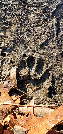 Park «Martha Lafite Thompson Nature Sanctuary», reviews and photos, 407 N La Frenz Rd, Liberty, MO 64068, USA