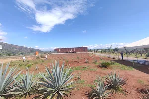 Tequila Grand Tour image