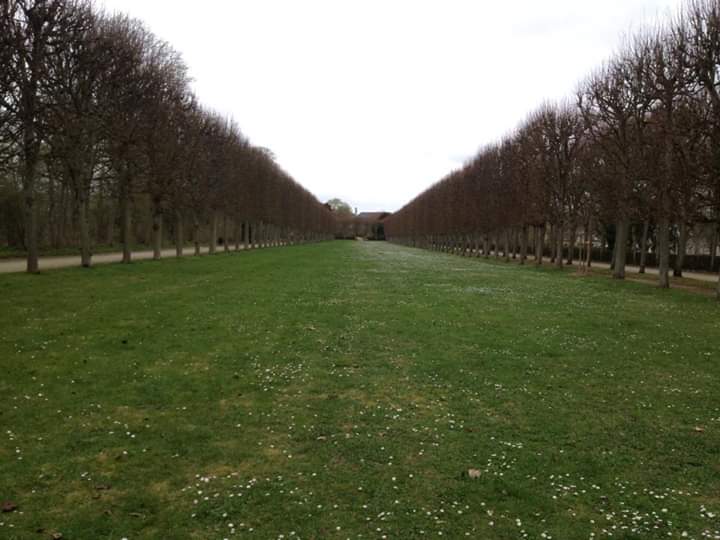 Photo n° 2 de l'avis de Bebe.l fait le 26/06/2019 à 11:21