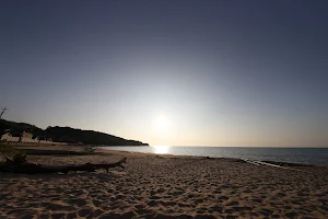 Kotogahama Beach image