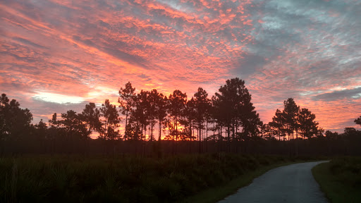 Used Bicycle Shop «Astro Cycles», reviews and photos, 6304 Congress St, New Port Richey, FL 34653, USA