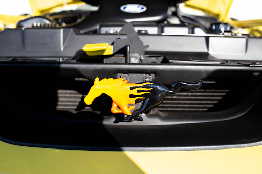 Car Dealer «GT Auto Lounge», reviews and photos, 11511 Folsom Blvd, Rancho Cordova, CA 95742, USA