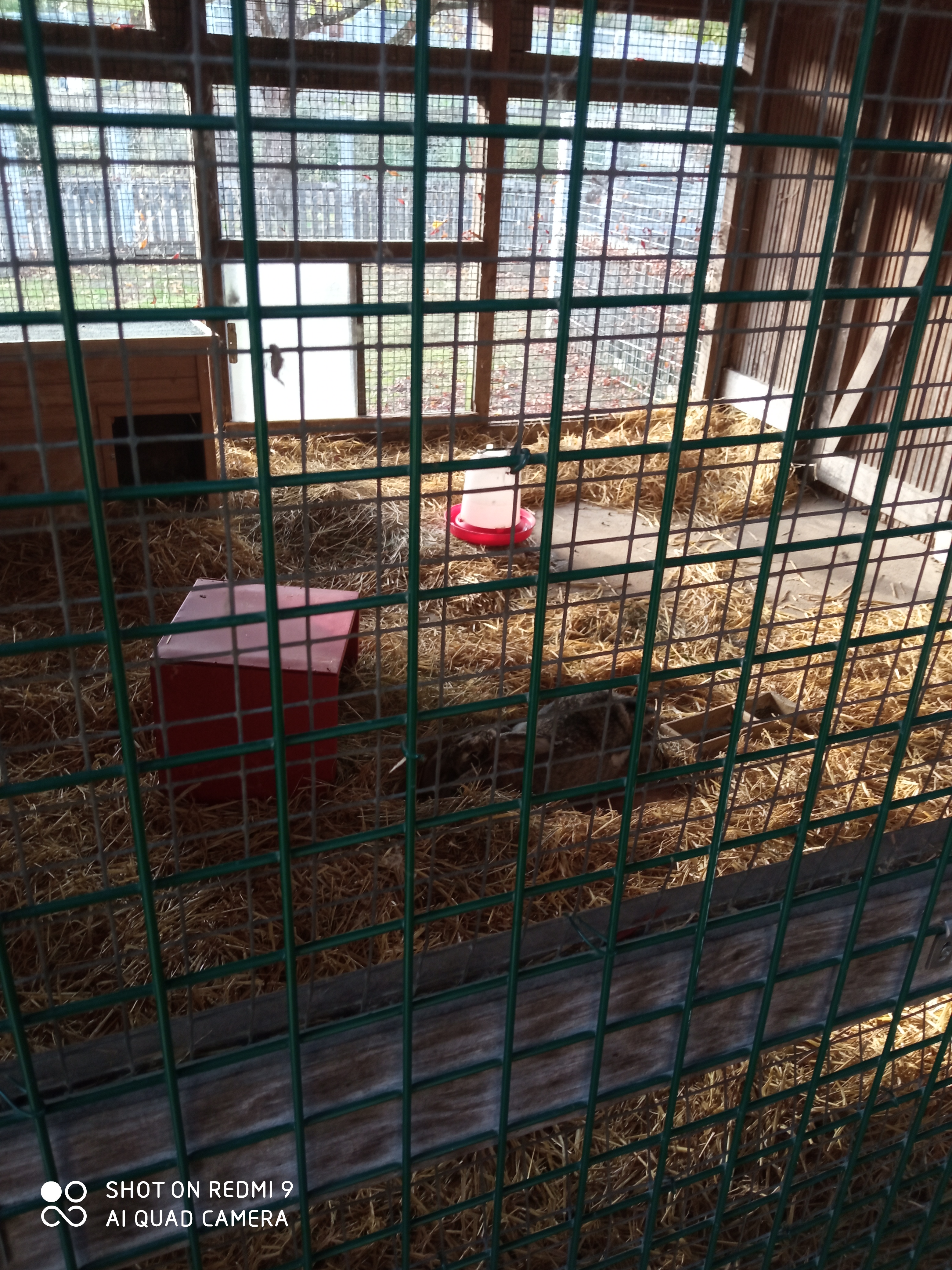 Photo n° 17 de l'avis de reseauoutremer.2 fait le 07/11/2020 à 18:39