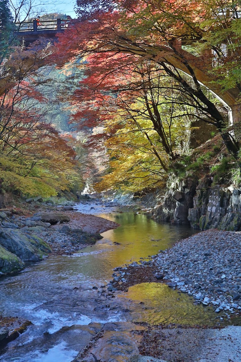 大芦渓谷 白井平橋