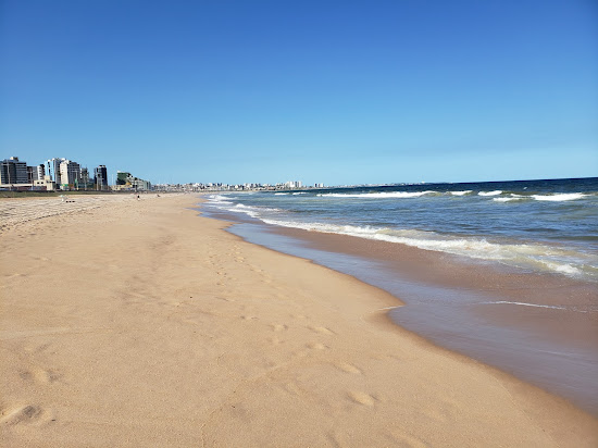 Praia de Armacao