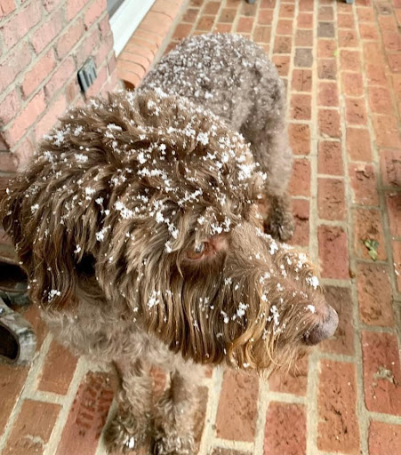 Insurance Agency «Eric Rose State Farm® Insurance Agent», reviews and photos