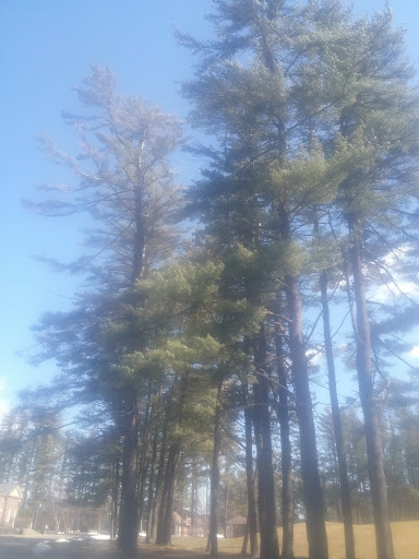 Golf Course «Saratoga Spa Golf Course», reviews and photos, 60 Roosevelt Dr, Saratoga Springs, NY 12866, USA