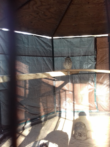 Learning Center «Trailside Museum of Natural History», reviews and photos, 738 Thatcher Ave, River Forest, IL 60305, USA