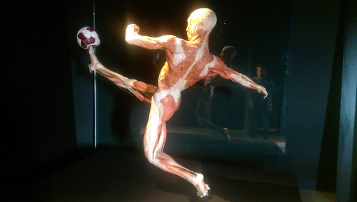 Museum «Portland Science Center», reviews and photos, 68 Commercial St, Portland, ME 04101, USA