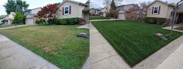 TruGreen Lawn Care - Photo 6 - Car repair in Rochester Hills, MI, Detroit