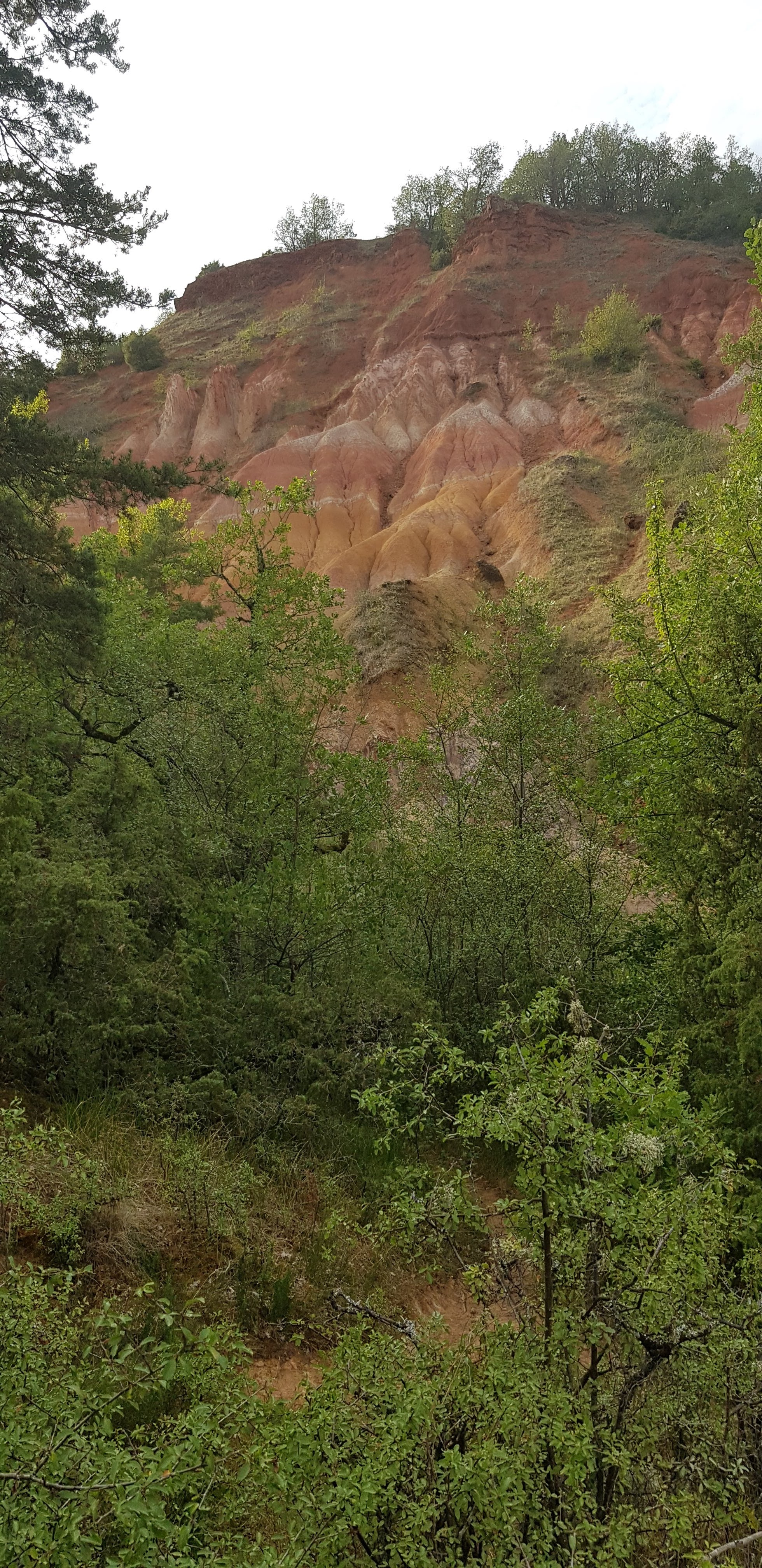 Photo n° 1 de l'avis de PETERLONGO.e fait le 19/08/2019 à 19:16