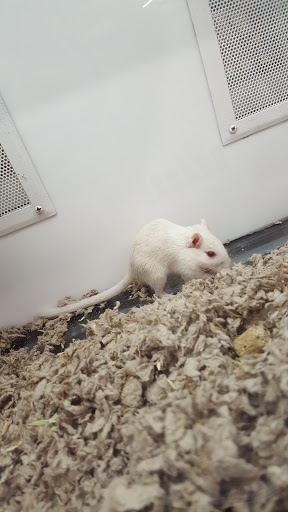 Pet Supply Store «Petco Animal Supplies», reviews and photos, 1970 S Robert St, West St Paul, MN 55118, USA