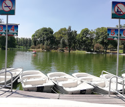Ajolotario Parque Tezozómoc photo