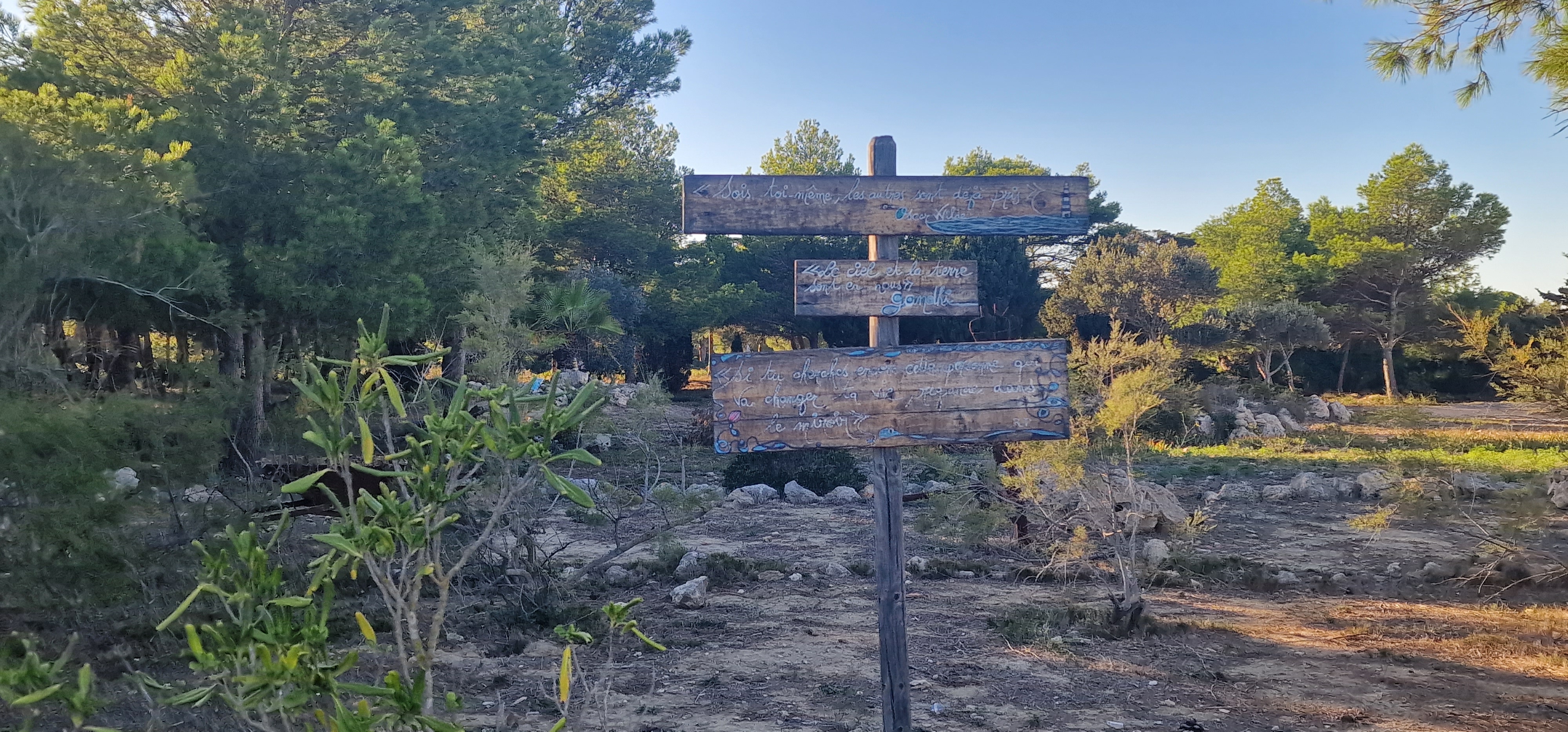 Photo n° 7 de l'avis de Valérie.i fait le 02/10/2023 à 19:37