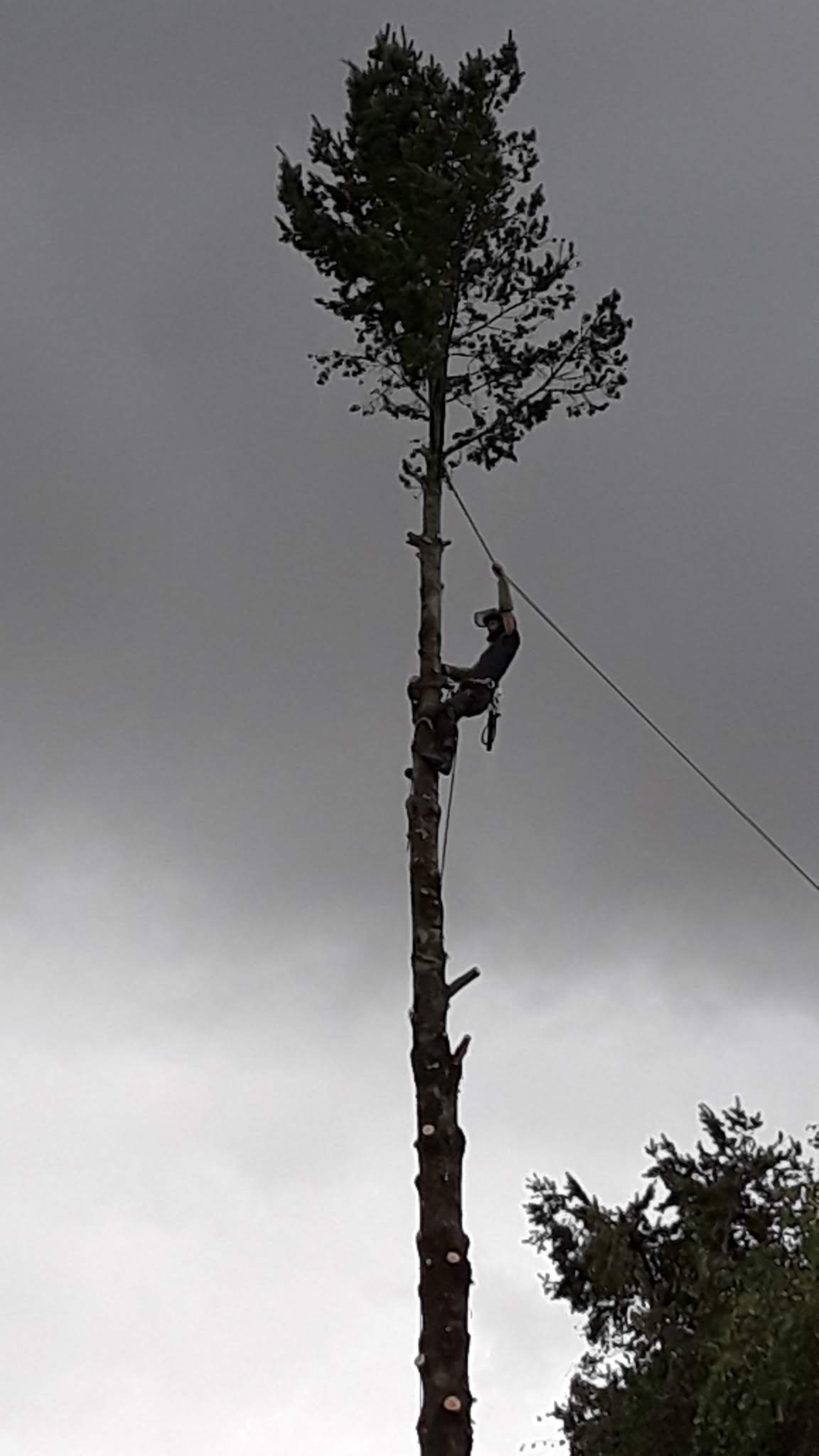Photo n° 4 de l'avis de Yann.i fait le 02/10/2019 à 14:14