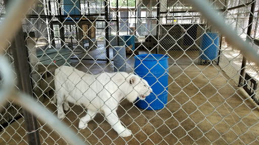 Wildlife Rescue Service «In-Sync Exotics», reviews and photos, 3430 Skyview Dr, Wylie, TX 75098, USA