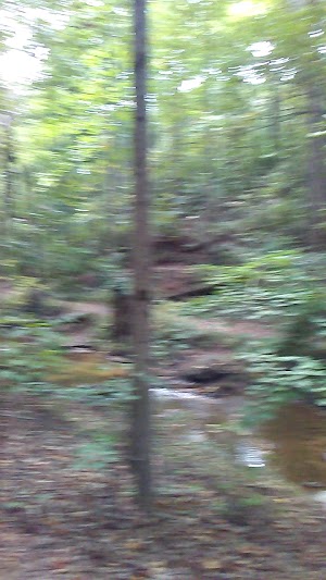 Fishburn Park - photo 78
