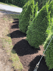 brand new landscaping - Photo 4 - Car repair in , Brockton