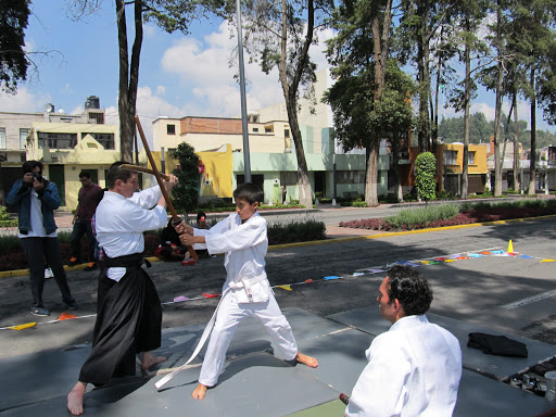 Kyōryokuna Aikido Dojo