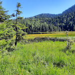 Photo n°18 de l'avis de Michael.a fait le 17/09/2023 à 16:40 sur le  Gasthof zur Linde à Rinchnach