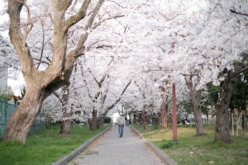 大新公園