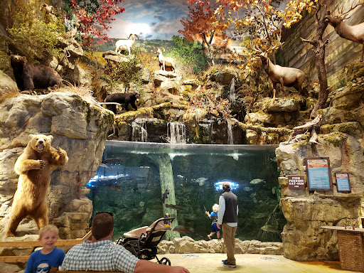 Sporting Goods Store «Bass Pro Shops», reviews and photos, 200 Bass Pro Dr, Round Rock, TX 78665, USA