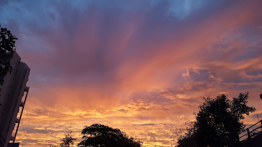 Google Maps image 26