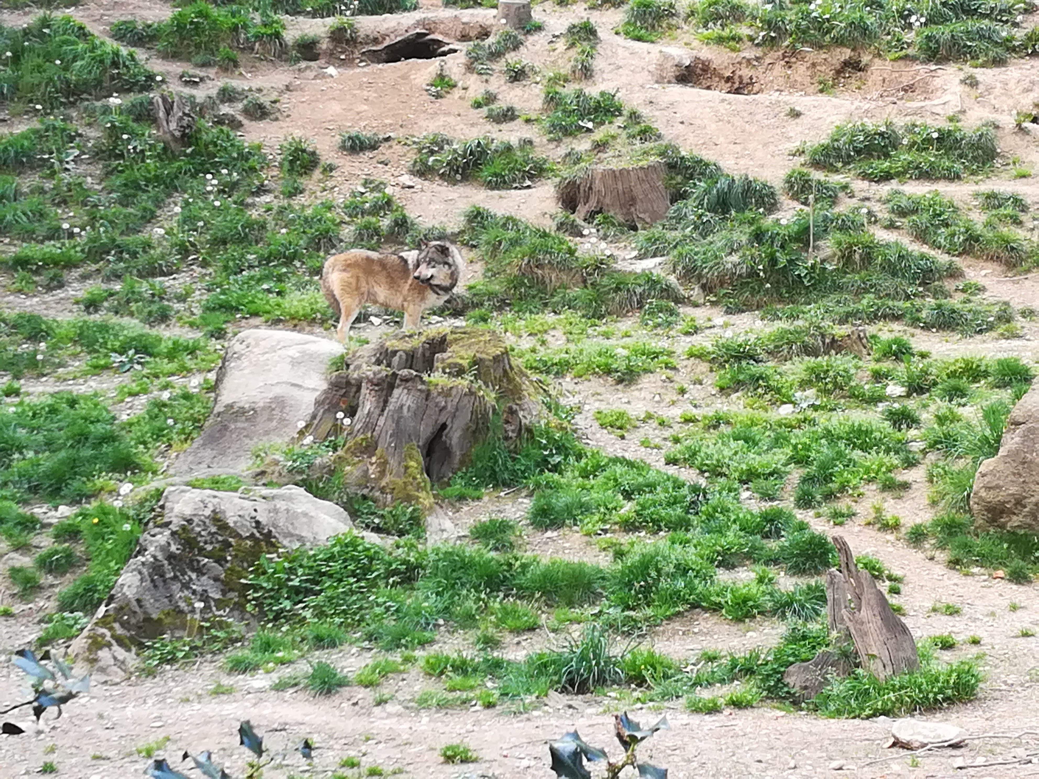 Photo n° 16 de l'avis de Sarah.L fait le 21/04/2018 à 18:44