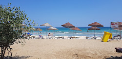 Photo de Golden Bay Beach et le règlement