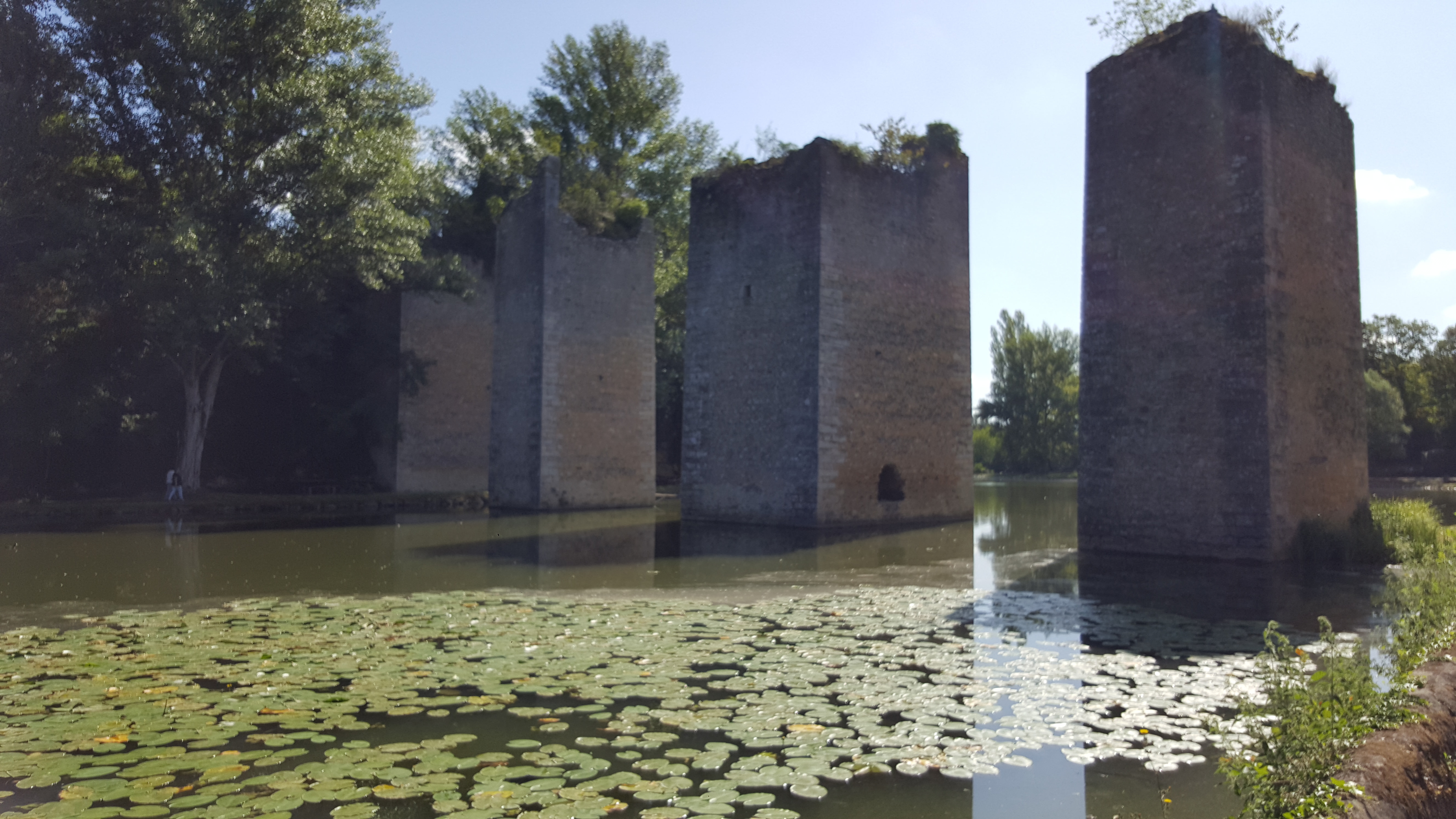 Photo n° 1 de l'avis de Emilie.r fait le 19/08/2019 à 07:04