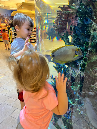 Sporting Goods Store «SCHEELS», reviews and photos, 6503 W 135th St, Overland Park, KS 66223, USA