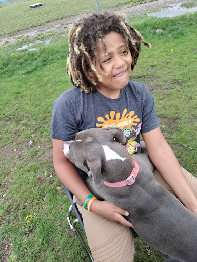 Animal Protection Organization «Humane Society-Black Hills», reviews and photos