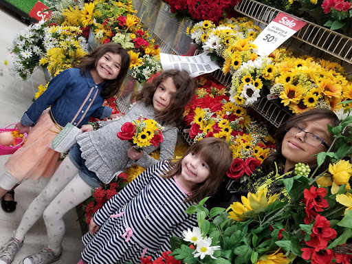 Craft Store «Michaels», reviews and photos, 1515 IL-50, Bourbonnais, IL 60914, USA