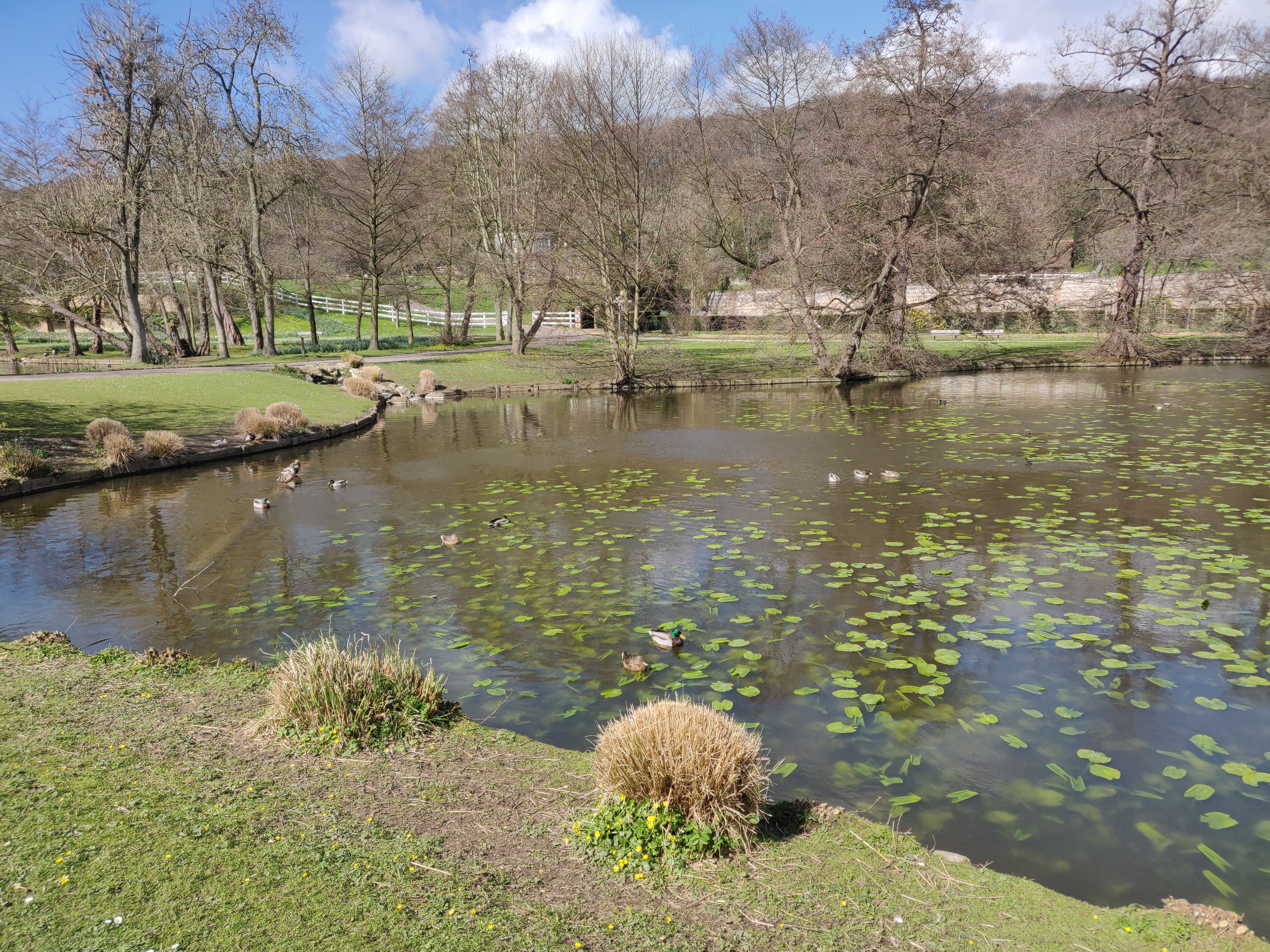 Photo n° 1 de l'avis de Lyah.. fait le 25/03/2019 à 13:27