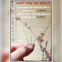 Good Health Acupuncture - Photo 7 - Car repair in Bloomfield, NJ, Newark