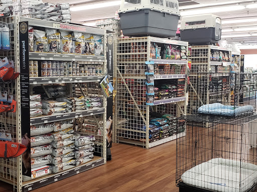 Pet Supply Store «Pet Supermarket», reviews and photos, 1125 Royal Palm Beach Blvd, Royal Palm Beach, FL 33411, USA