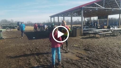 Paintball Center «LVL UP Sports Paintball Park», reviews and photos, 5390 Harrisburg Pike, Grove City, OH 43123, USA