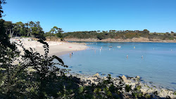 Plage de Port Manec'h'in fotoğrafı çok temiz temizlik seviyesi ile