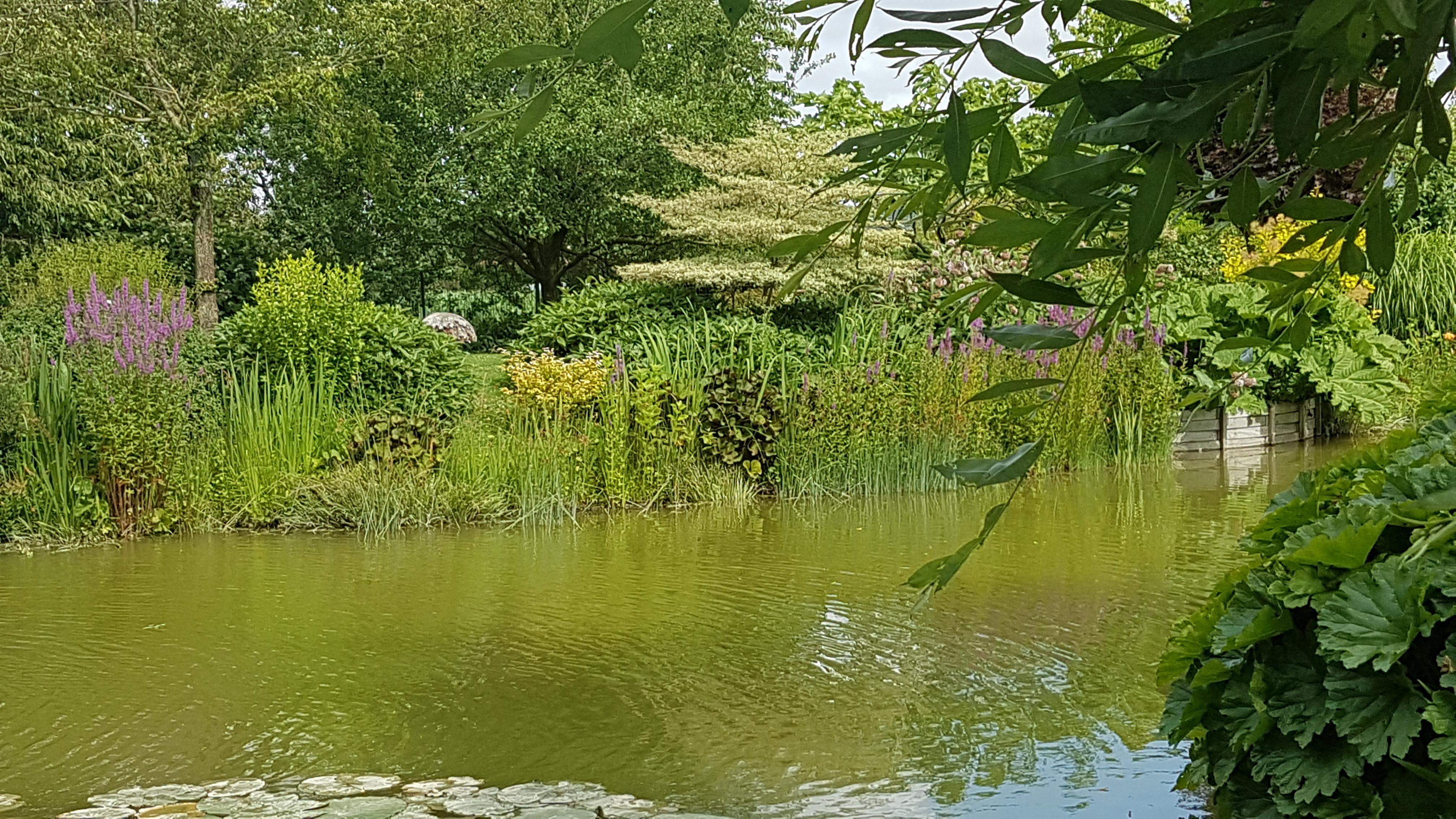 Photo n° 7 de l'avis de Didier.y fait le 04/07/2023 à 13:38