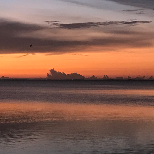 Sporting Goods Store «KAYAKS BY BO INC.», reviews and photos, 410 S Hopkins Ave, Titusville, FL 32796, USA