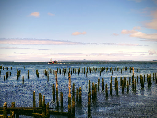 Coffee Shop «3 Cups Coffee House», reviews and photos, 279 W Marine Dr, Astoria, OR 97103, USA