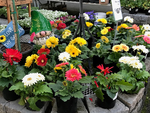 Hardware Store «Orchard Supply Hardware», reviews and photos, 5365 Prospect Rd, San Jose, CA 95129, USA