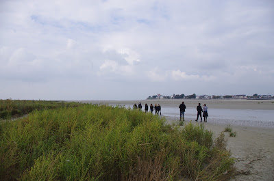 Expérience Baie de Somme : Séminaire en baie de Somme, EVJF baie de Somme, EVG, team building baie de Somme à Saint-Valery-sur-Somme