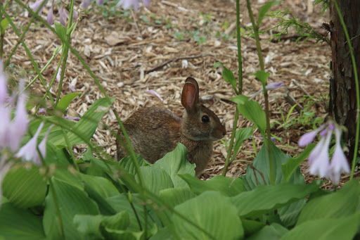 Park «Post Park», reviews and photos, 451 Unqua Rd, Massapequa Park, NY 11762, USA