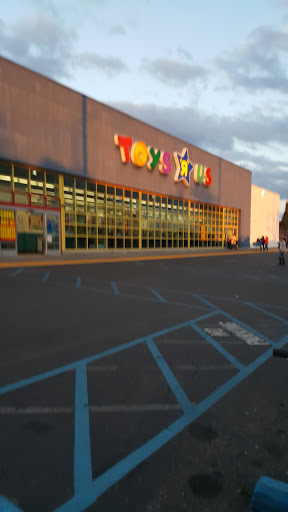 Toy Store «Toys