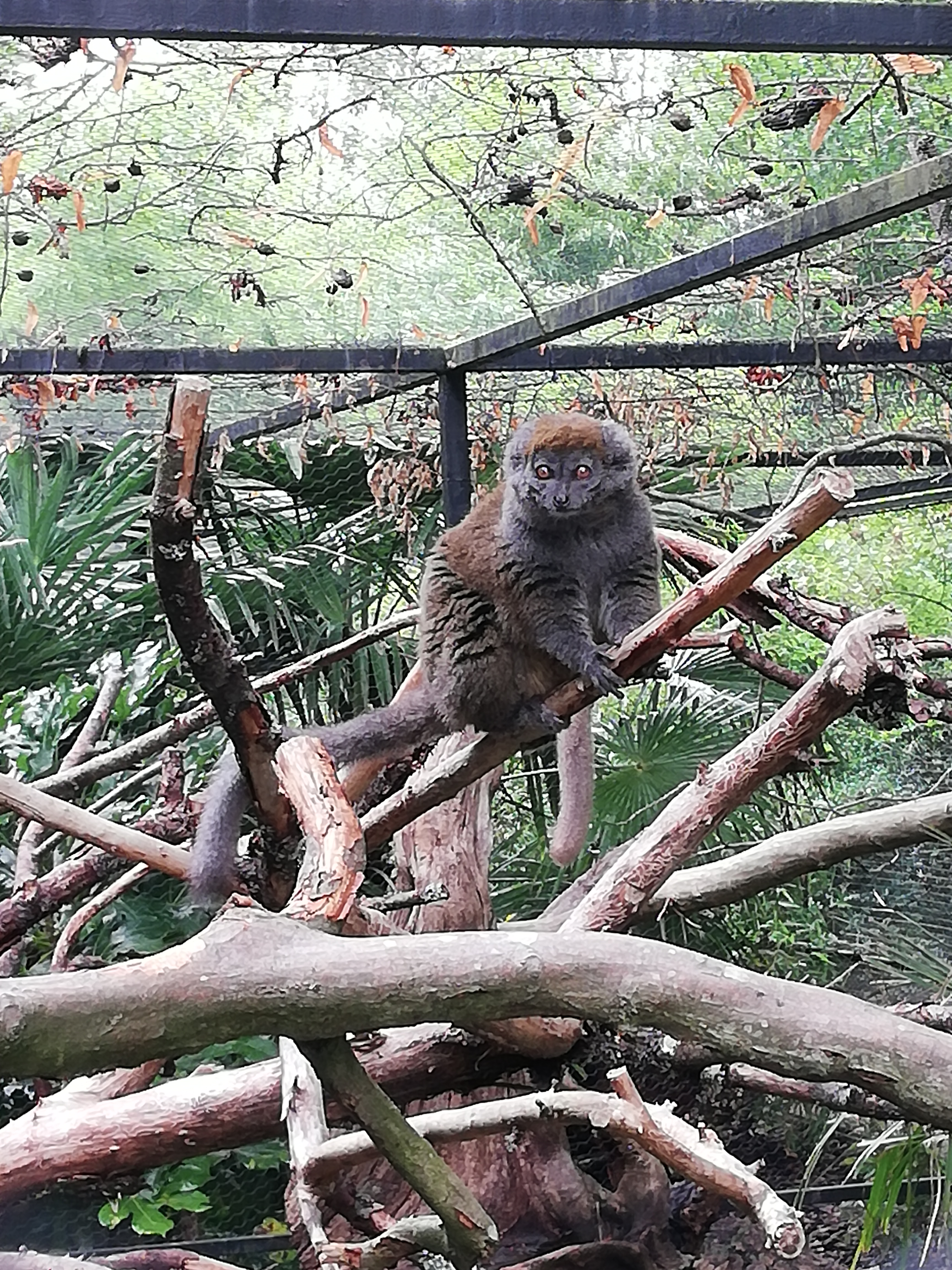 Photo n° 3 de l'avis de Emilie.i fait le 13/08/2020 à 15:47